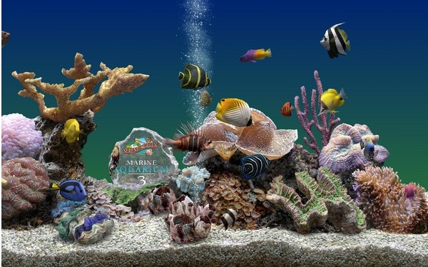 熱帶魚水族箱屏幕保護 沉浸式3D水族箱體驗