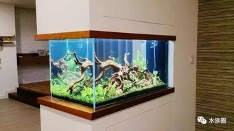 您說魚缸水族箱占地，我們笑了 方寸之間，自有天地