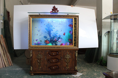 生態(tài)魚缸 方寸之間，構(gòu)筑流動的生命藝術(shù)