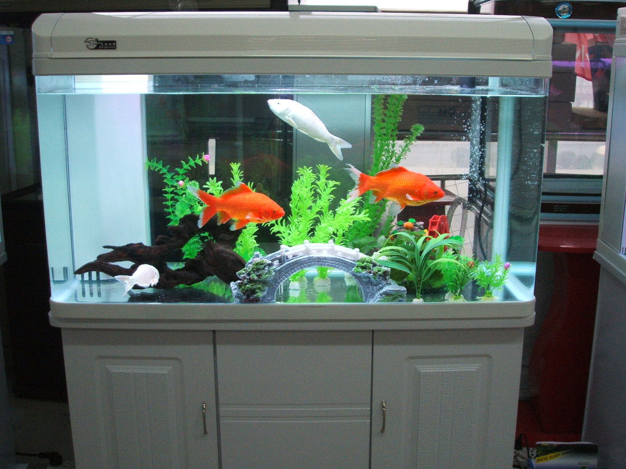 寶來HR3 480水族箱材質(zhì)與水渾濁原因解析