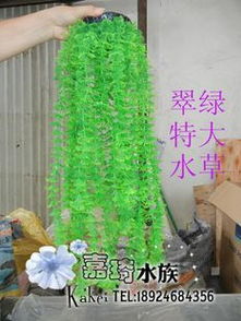 靈動水下桃源 生態(tài)假山助力水族箱打造夢幻魚樂世界